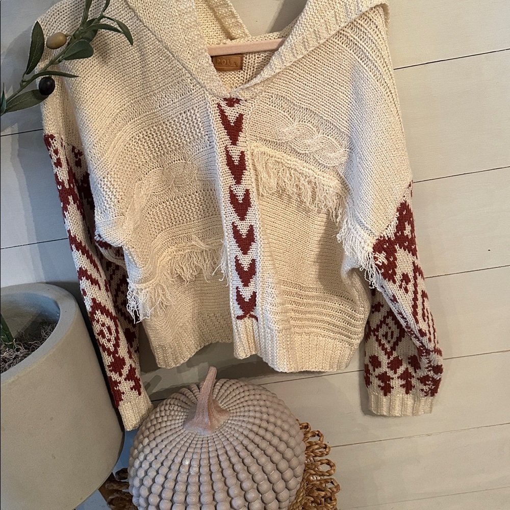 🥰POL  hooded sweater